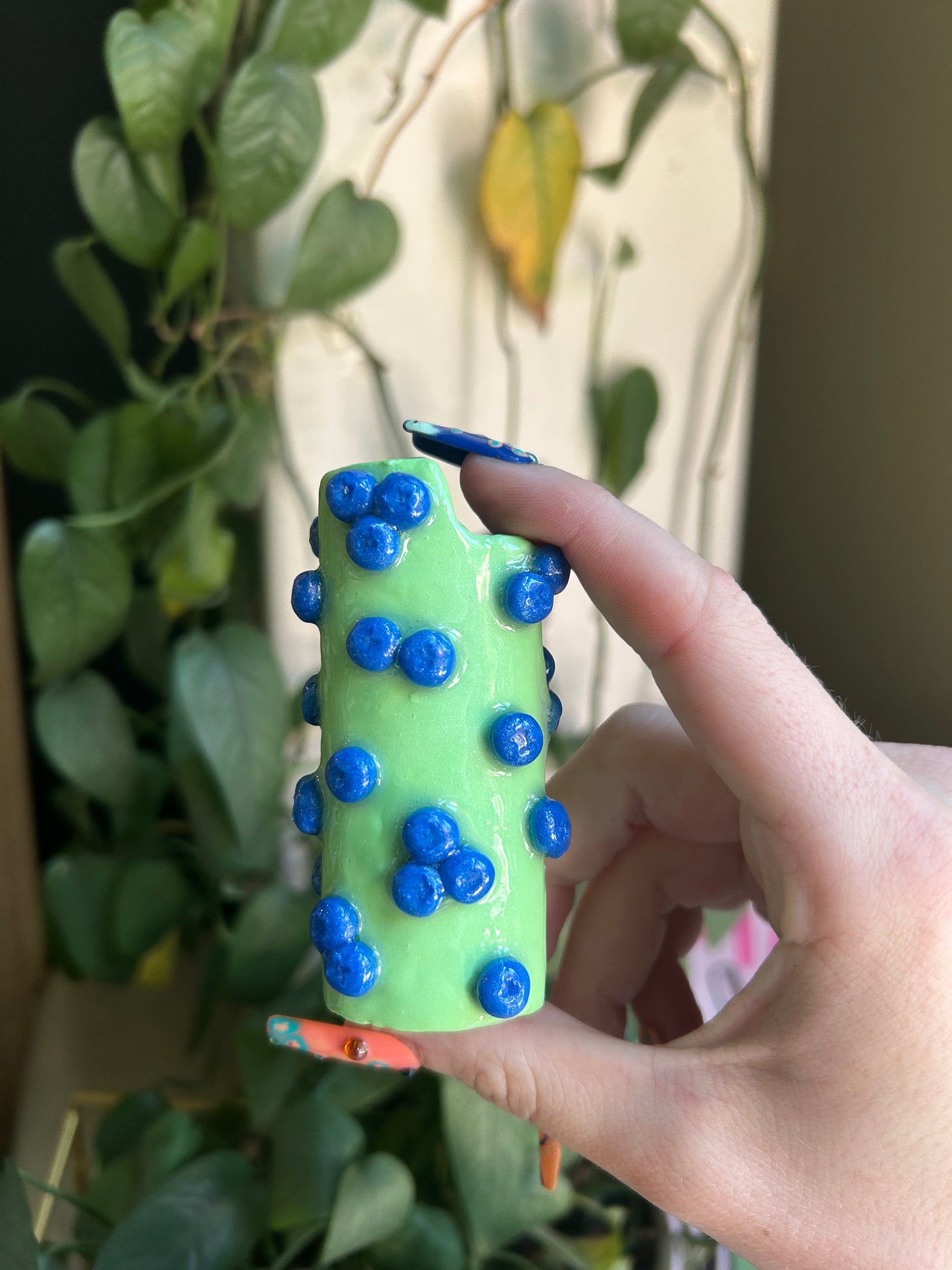 Blueberry lighter case