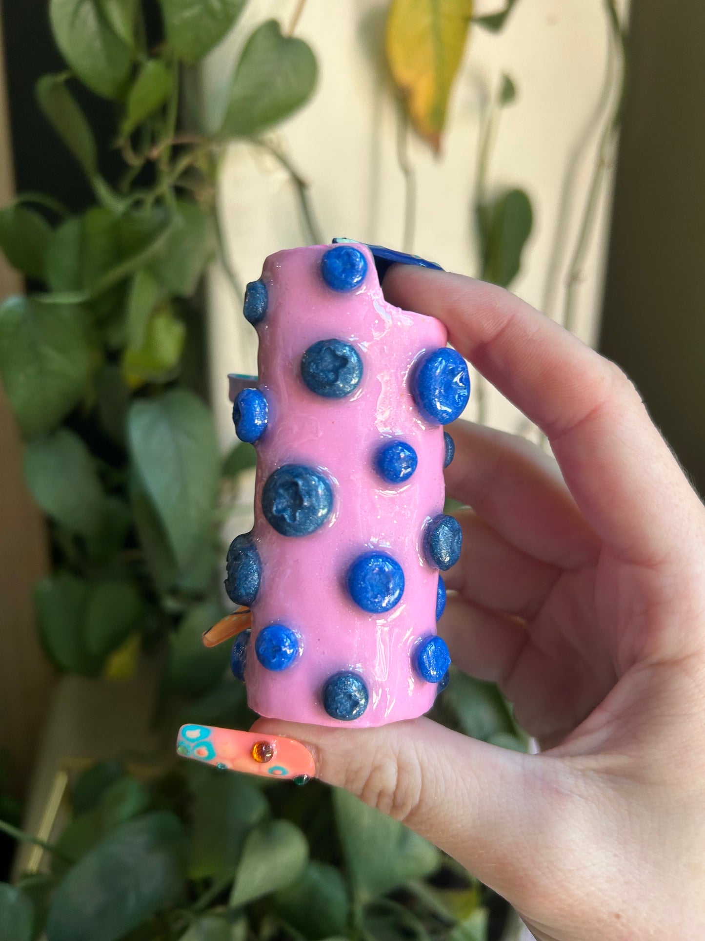 Blueberry lighter case