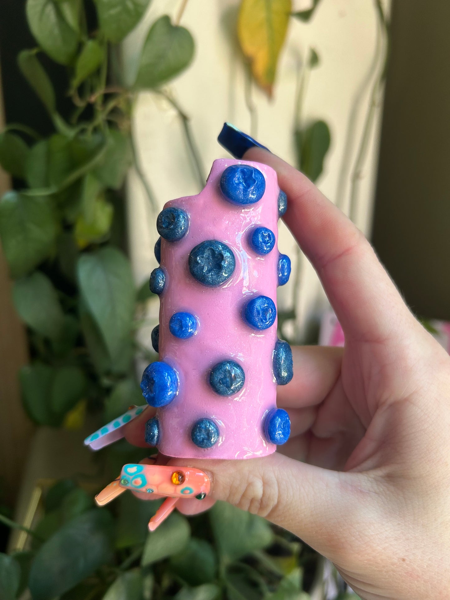 Blueberry lighter case