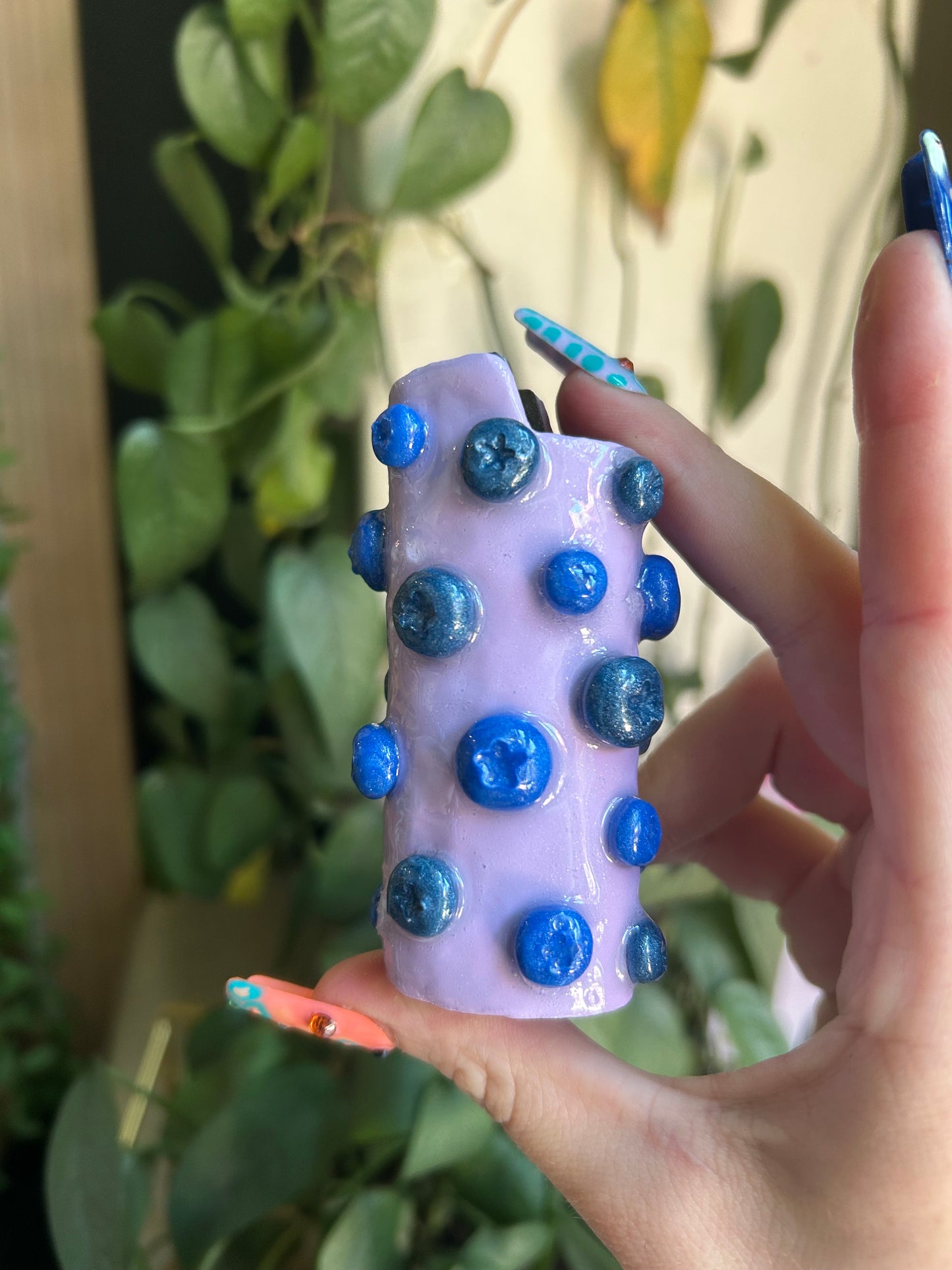 Blueberry lighter case