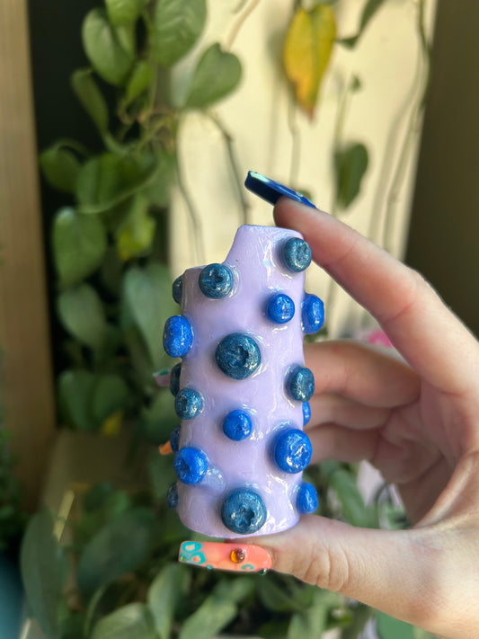 Blueberry lighter case