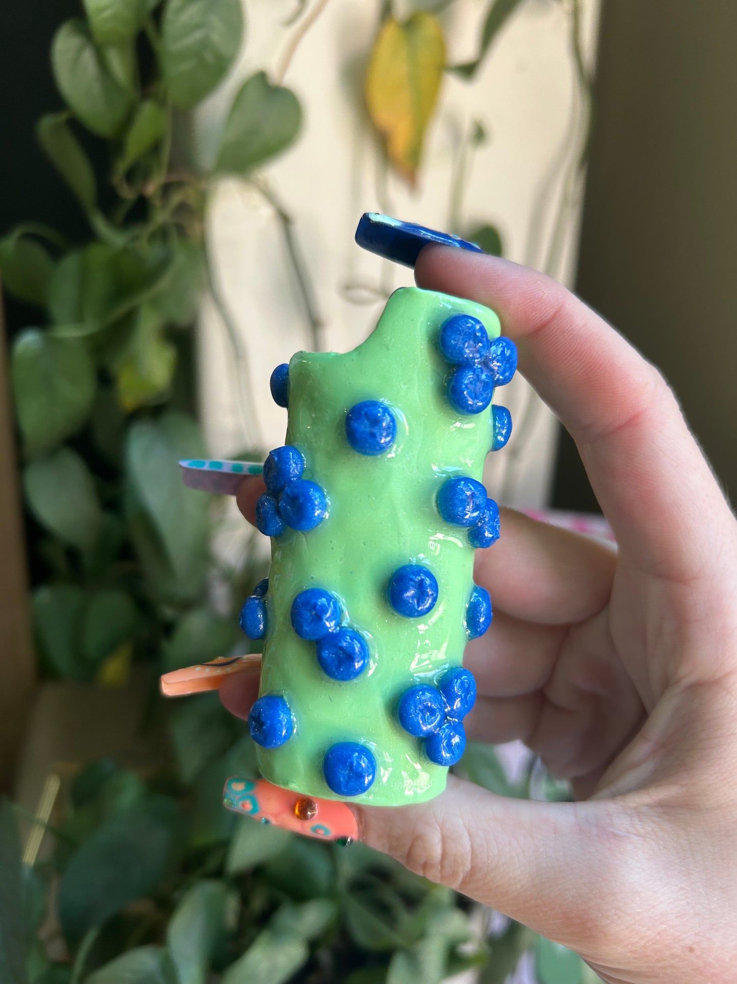 Blueberry lighter case